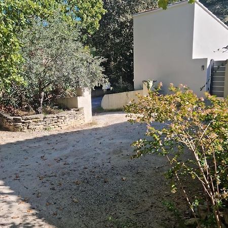 Nouveaute Studio Sur Les Hauteurs. Robion Extérieur photo